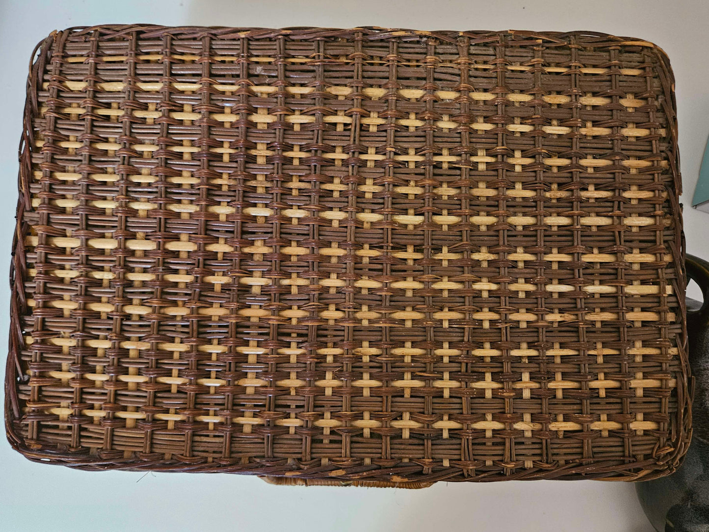 Woven Lined Wicker Basket