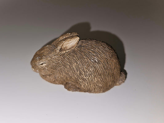 Sandicast Sleeping Bunny